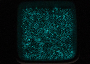 Бисер Япония круглый 11/0 10 г PF2701S хрусталь/синий, светящийся в темноте